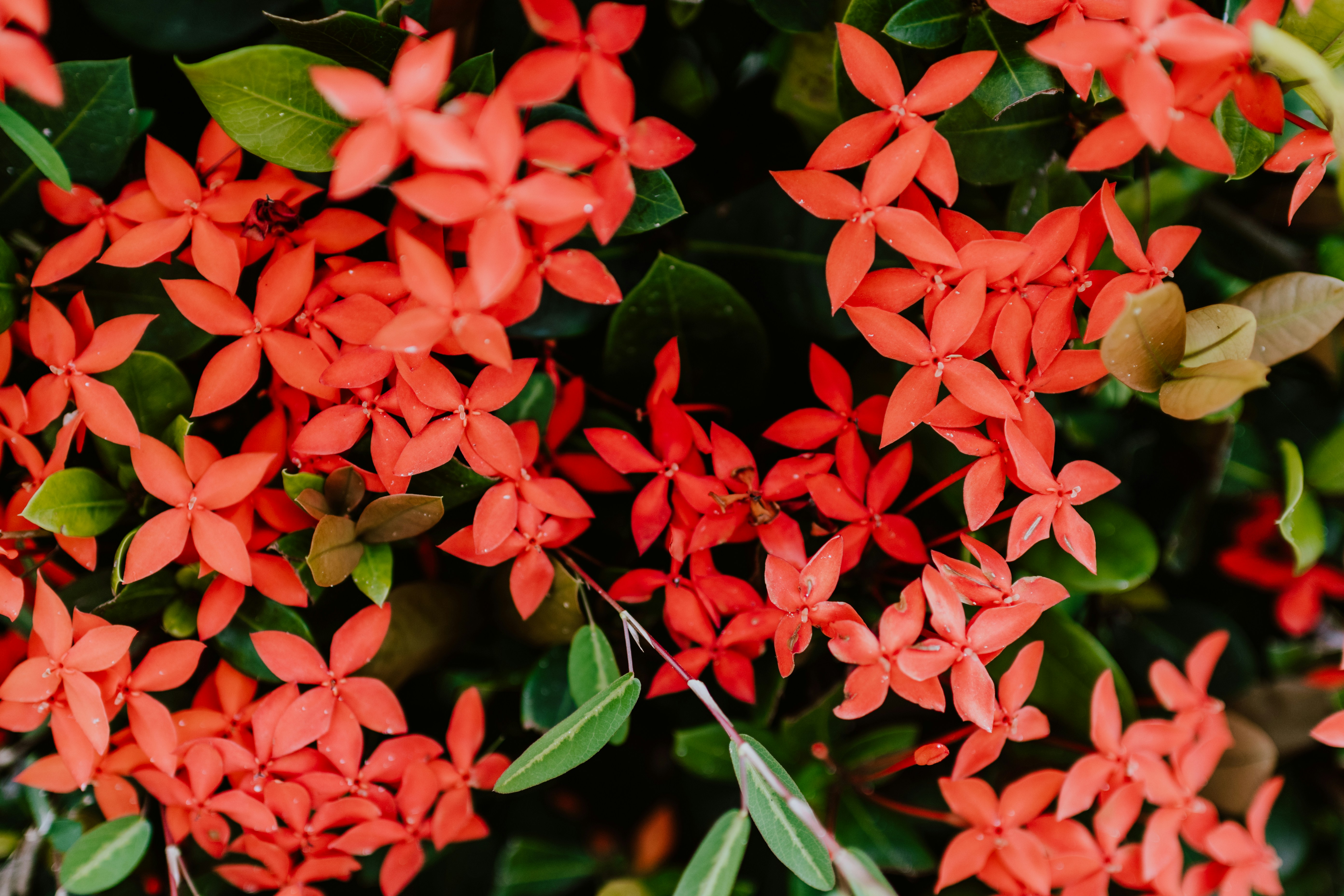 Gartengestaltung Trends – Das erwartet uns im neuen Gartenjahr